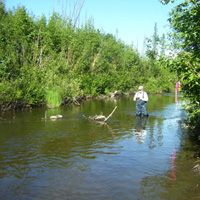 researching the river