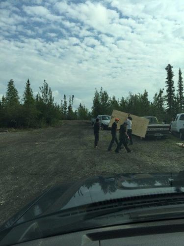 Hauling Wood 2