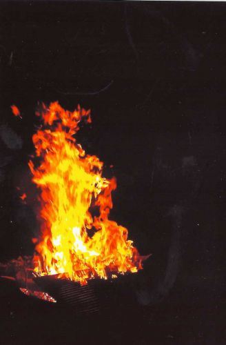 Norman Wells Enjoying A Campfire