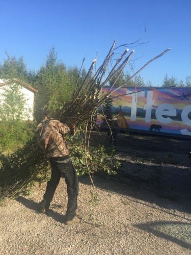 Yard Clearing For Church