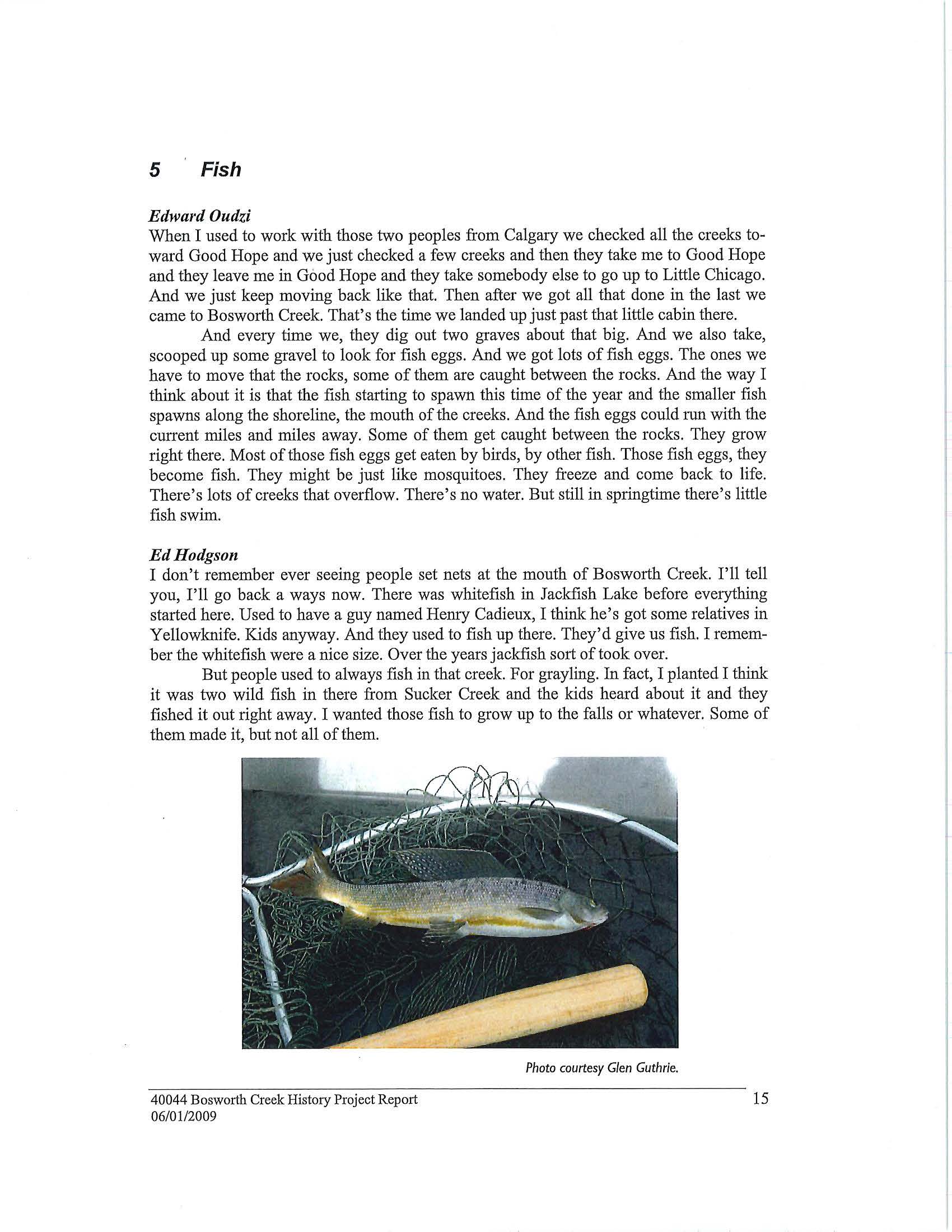 Bosworth Creek History Project Page 20